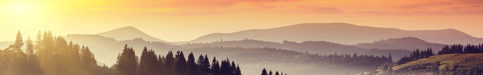 福建省智信招標有限公司