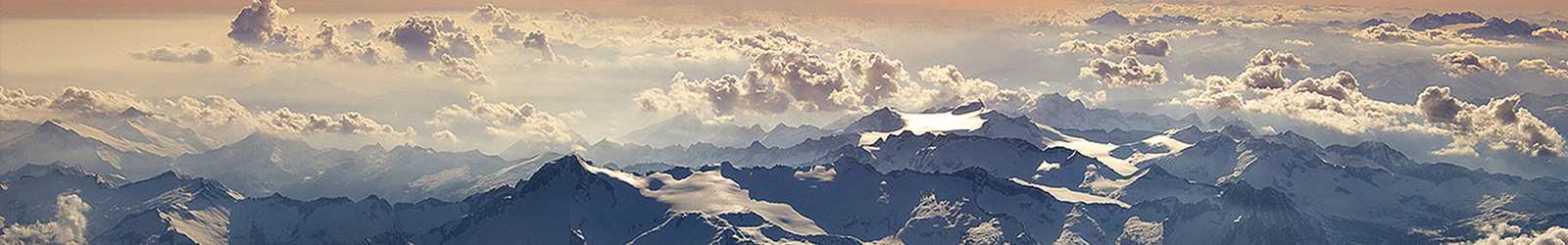 福建省智信招標(biāo)有限公司